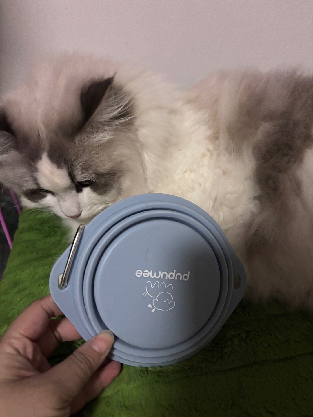 pupumee外出折叠碗测评