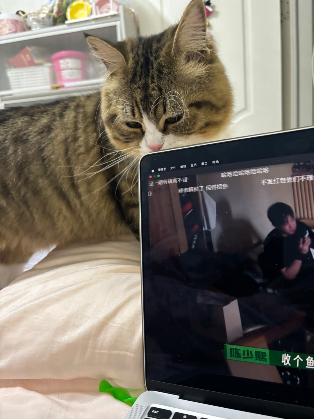 哈哈(〃'▽'〃)哈哈✌︎˶╹ꇴ╹˶✌︎哈哈  ᖰ⌯'▾'⌯ᖳ哈哈