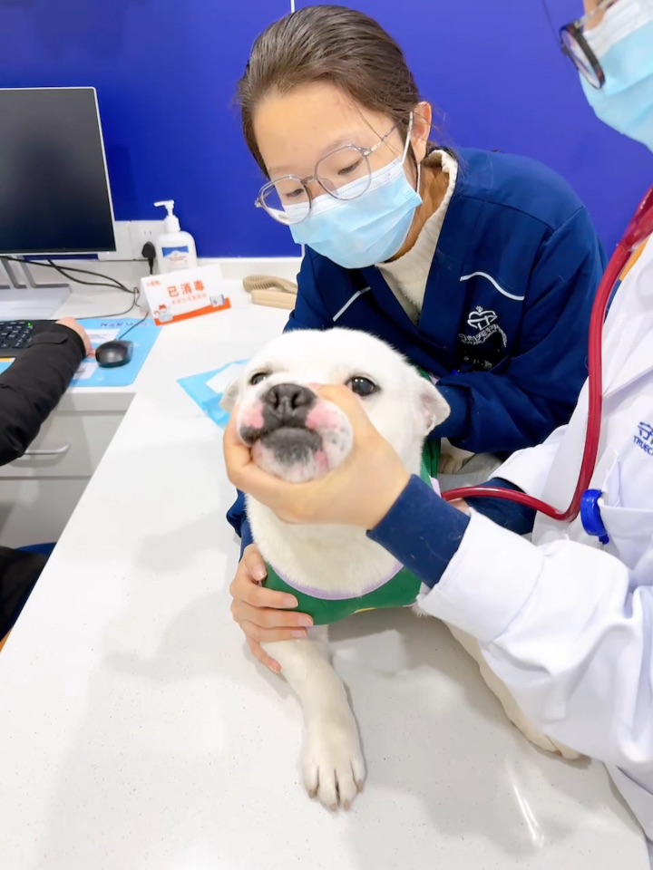 谁来为我发声💔