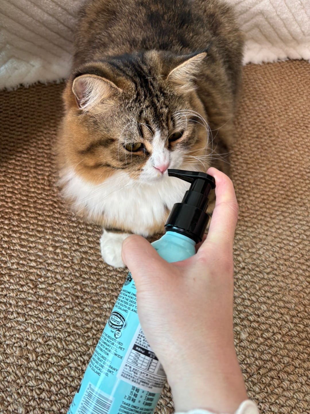 哈哈(*´・ｖ・)哈哈(*´・ｖ・)哈哈(◍•ᴗ•◍)哈哈˙ᗜ˙