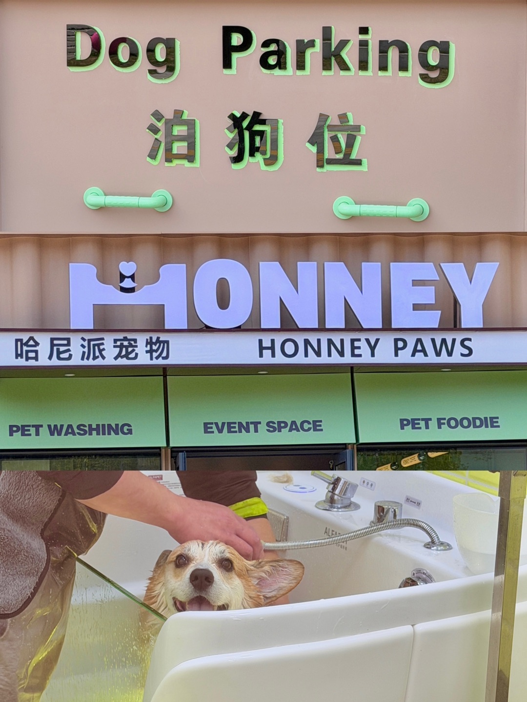 今天也是香香小狗上线啦～🛁