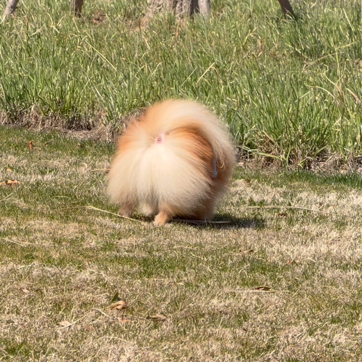 当我和tony老师说不要剃杠🚪