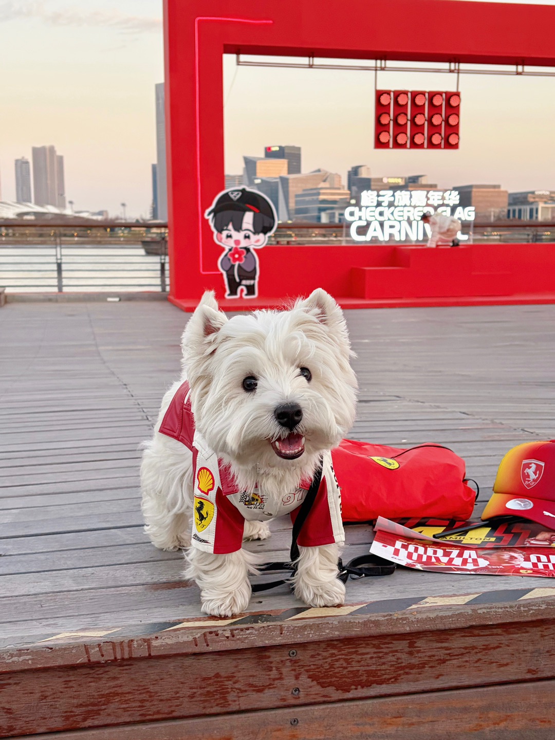 今天是F1赛车手小开！🏎