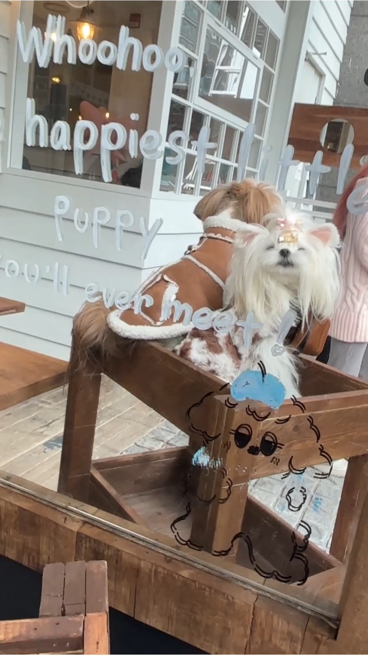 今天是牛仔搭档！