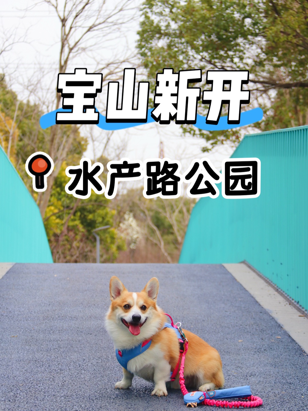 上海宝山新开水产路公园