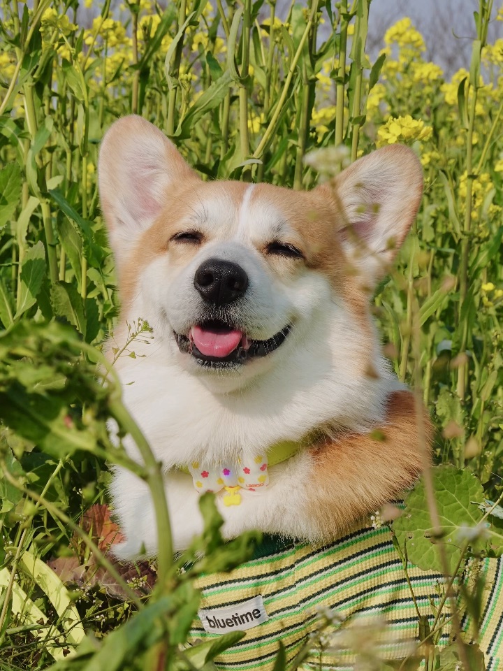 我和你要去闻闻新鲜的春天🌼