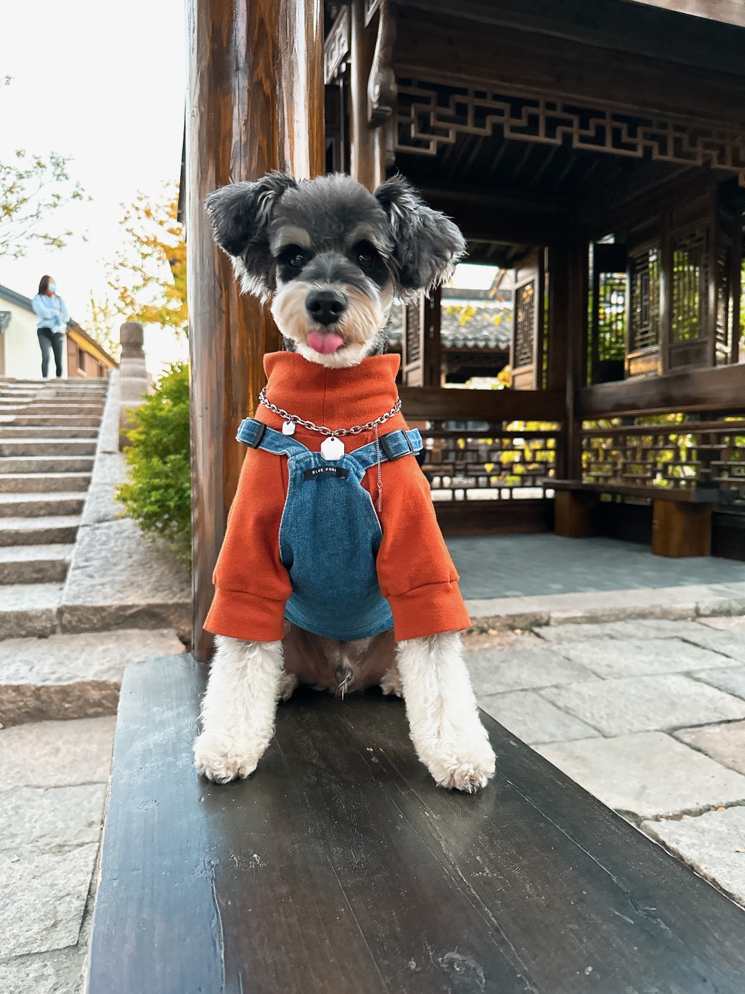 这是一封来自小狗的春日邀约✉️