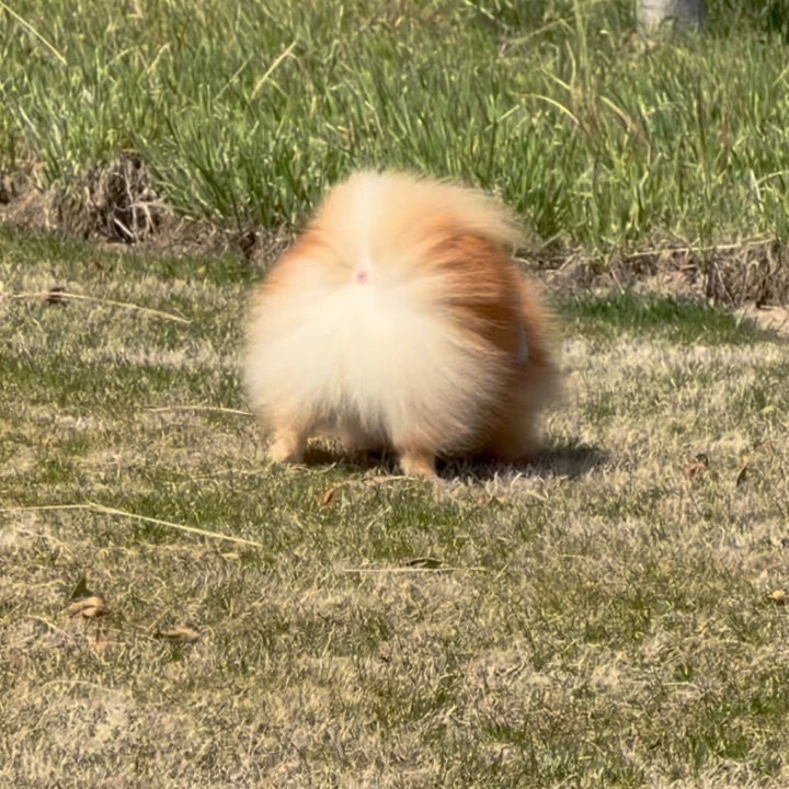 不是，你们怎么都爱看这个啊