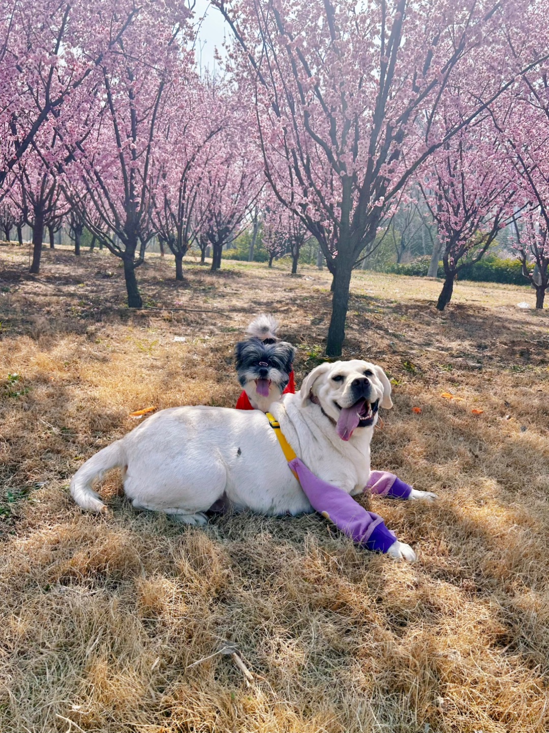人！出来晒太阳吧☀️