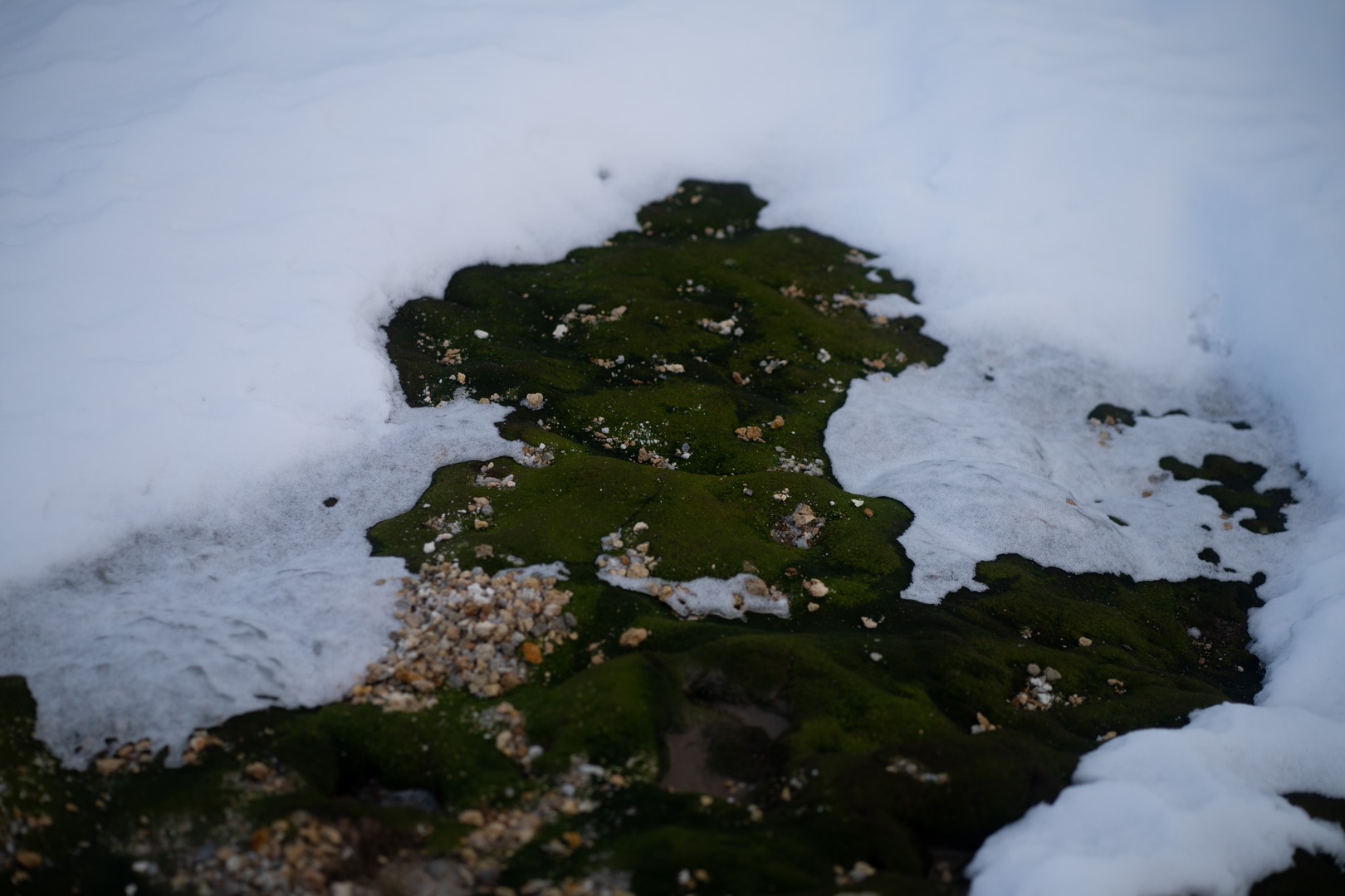 拍摄日本 地狱谷地质构成