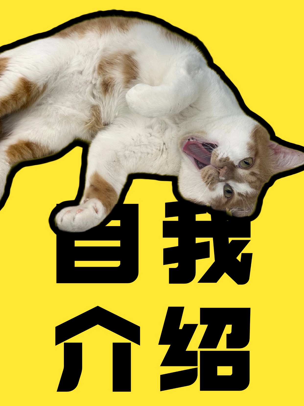 我我我，我叫醒醒