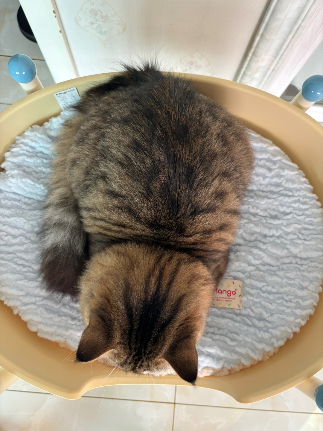 哈哈(*´・ｖ・)哈哈˙ᗜ˙哈哈(❁´ω`❁)ヽ(^0^)ノ哈哈˙ᗜ˙