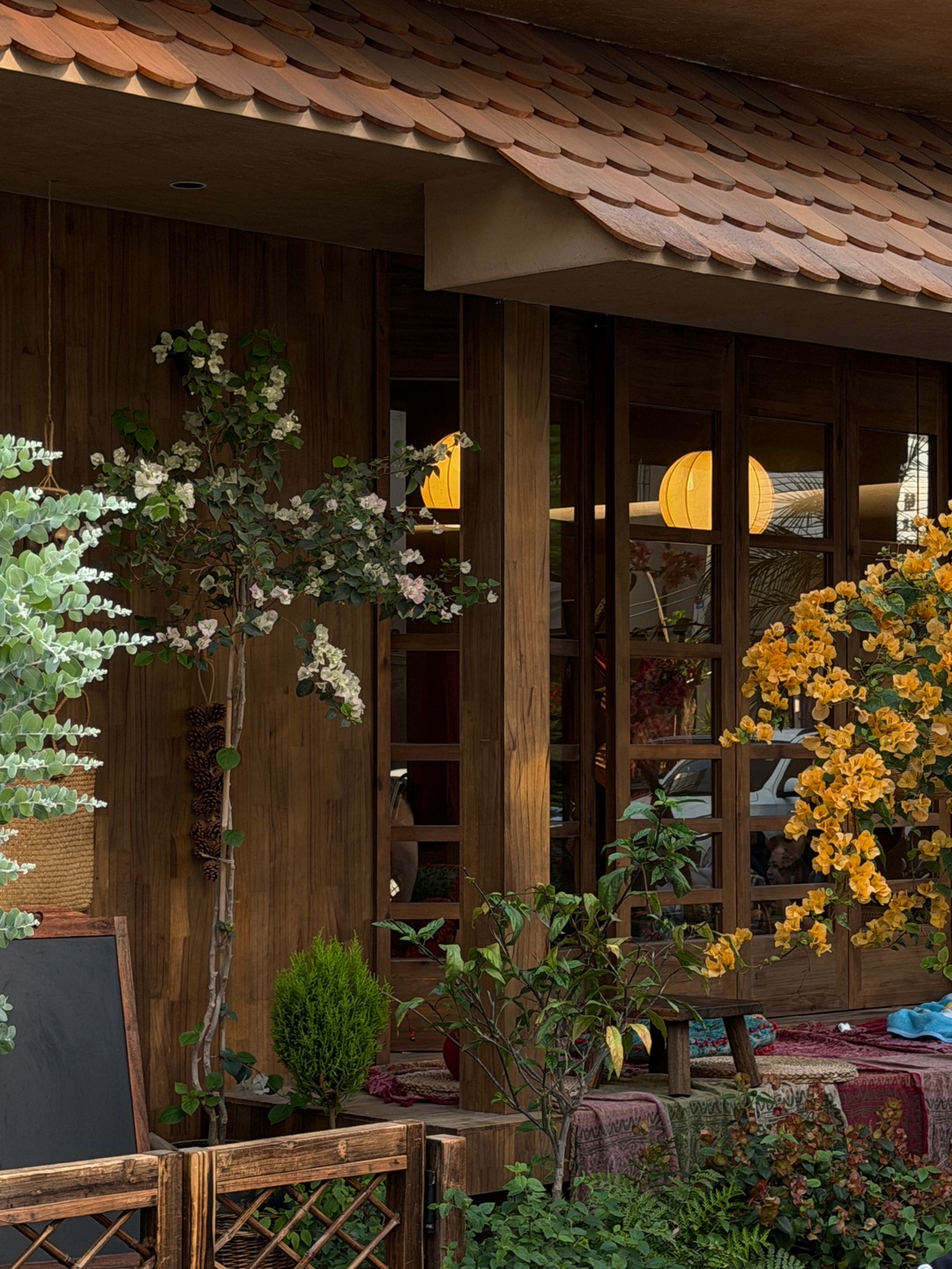 Live实况)不在云南！湛江这里太好拍啦🧺💐