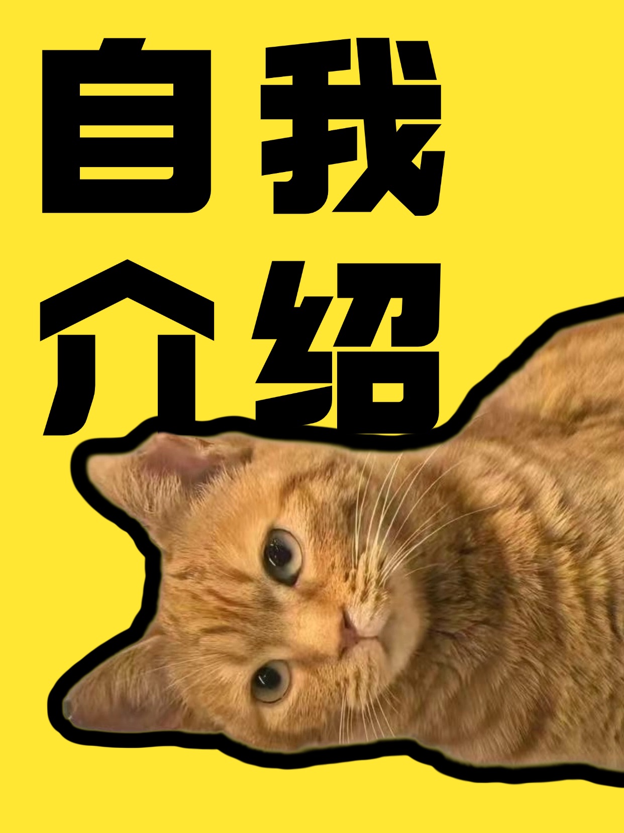 侬好，my name is 虎皮卷