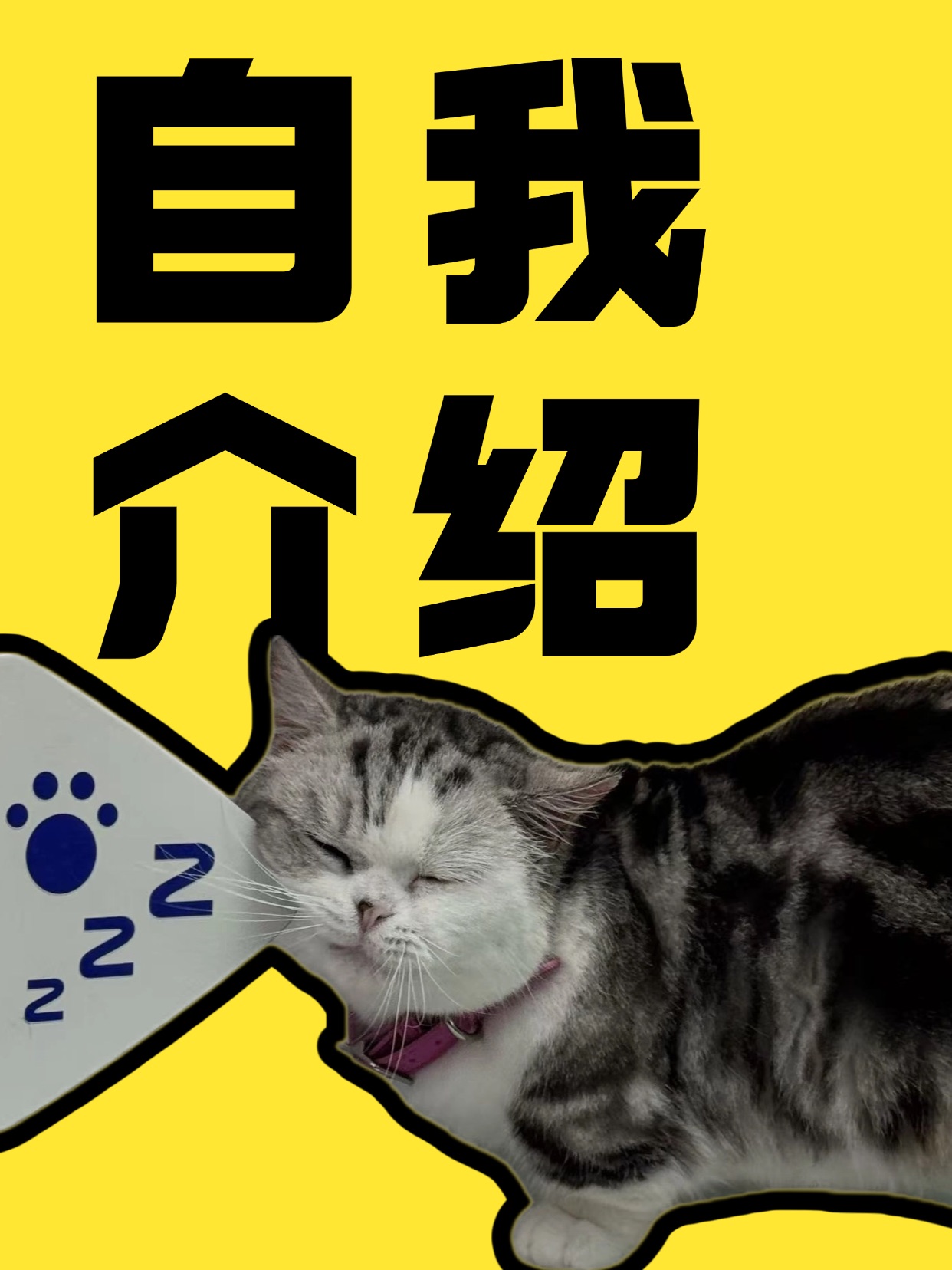 人好，这是咪的自我介绍