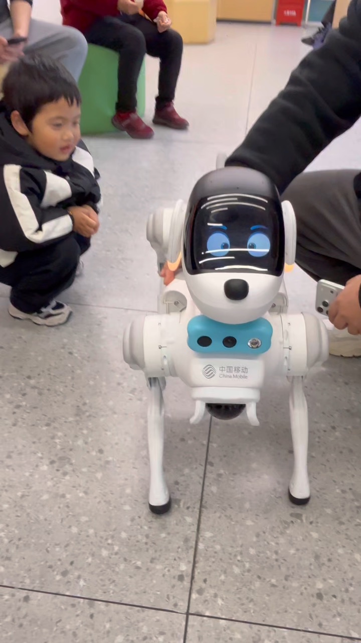 在家还要被机器狗卷