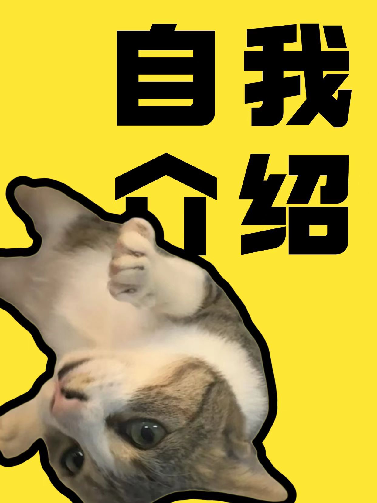 大王～快来认识我呀