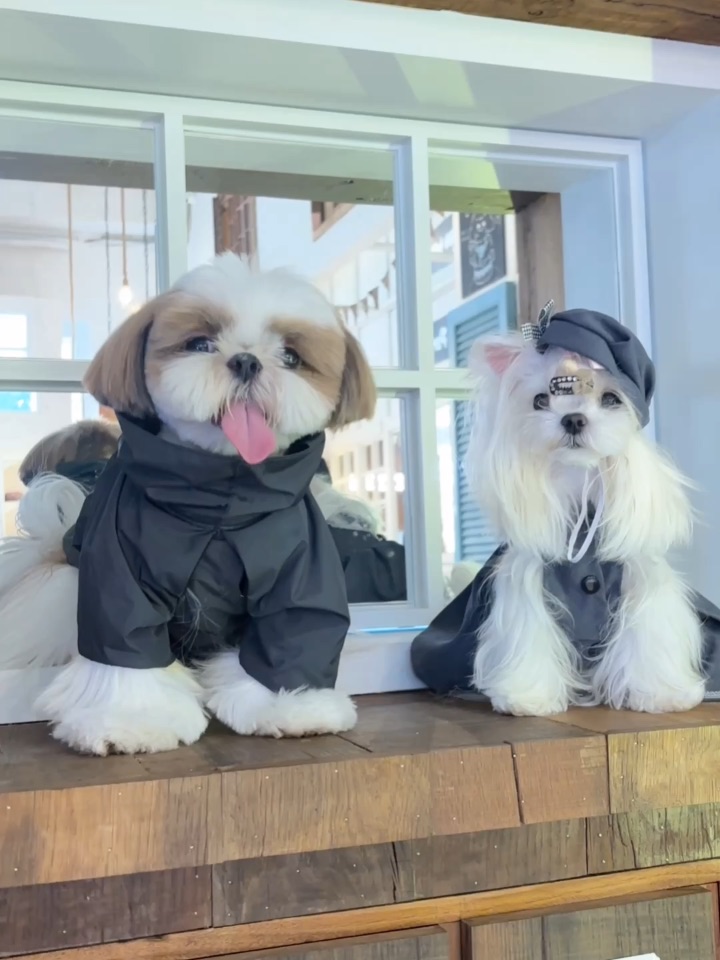 春天来啦！出去玩！