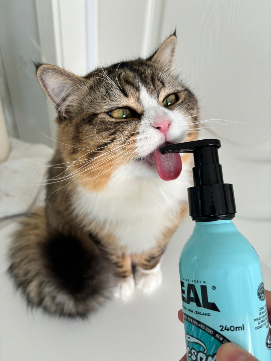 哈哈(*´・ｖ・)哈哈˙ᗜ˙哈哈(❁´ω`❁)ヽ(^0^)ノ哈哈˙ᗜ˙