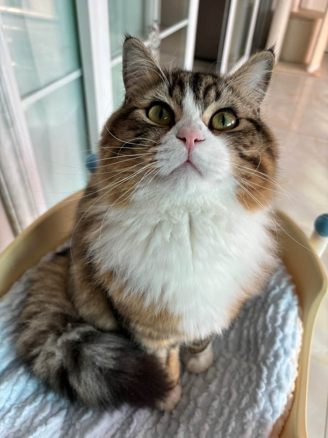 哈哈(*´・ｖ・)哈哈˙ᗜ˙哈哈(❁´ω`❁)ヽ(^0^)ノ哈哈˙ᗜ˙