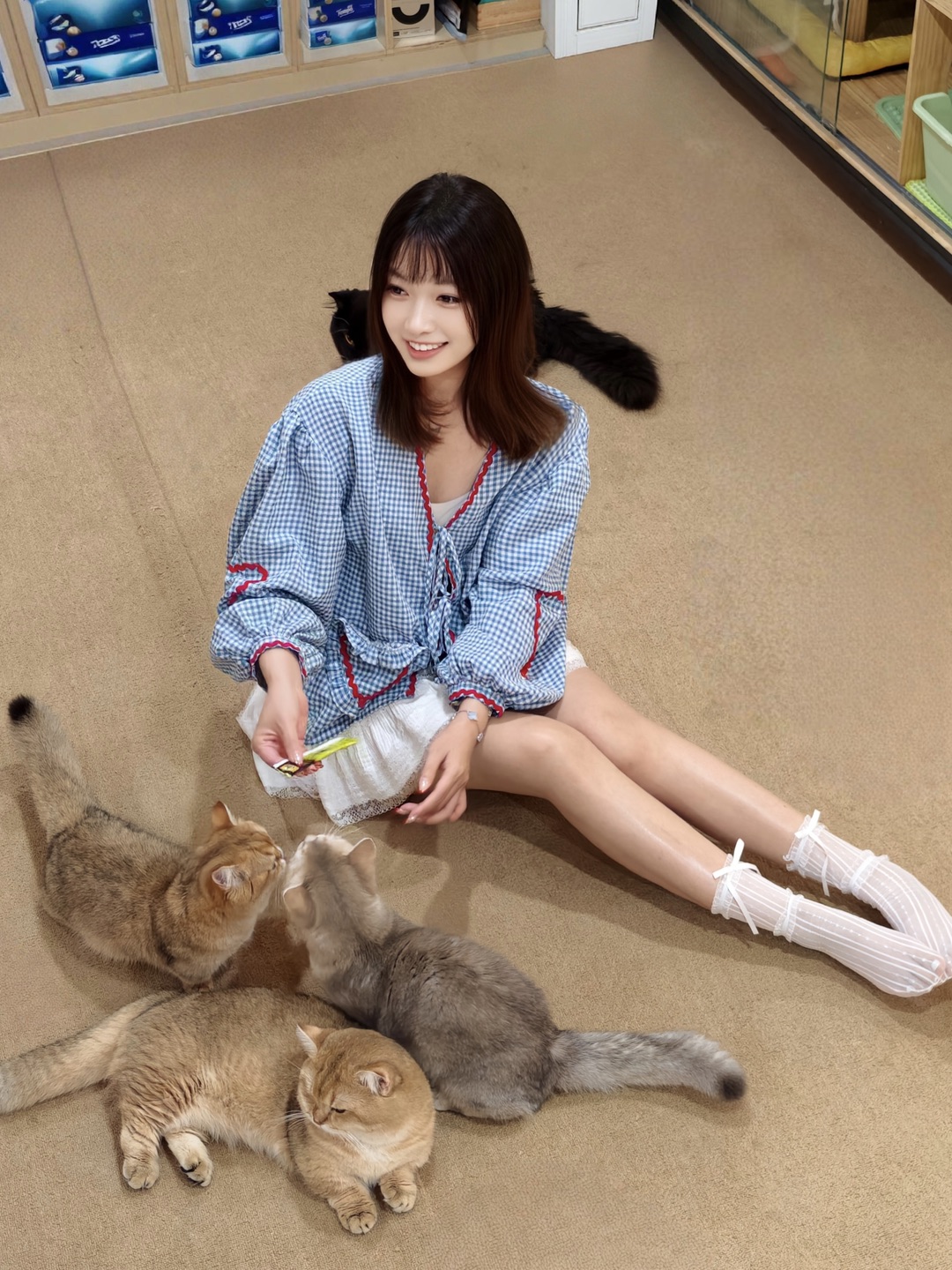 糟糕🐾我的怀里长猫了🐱