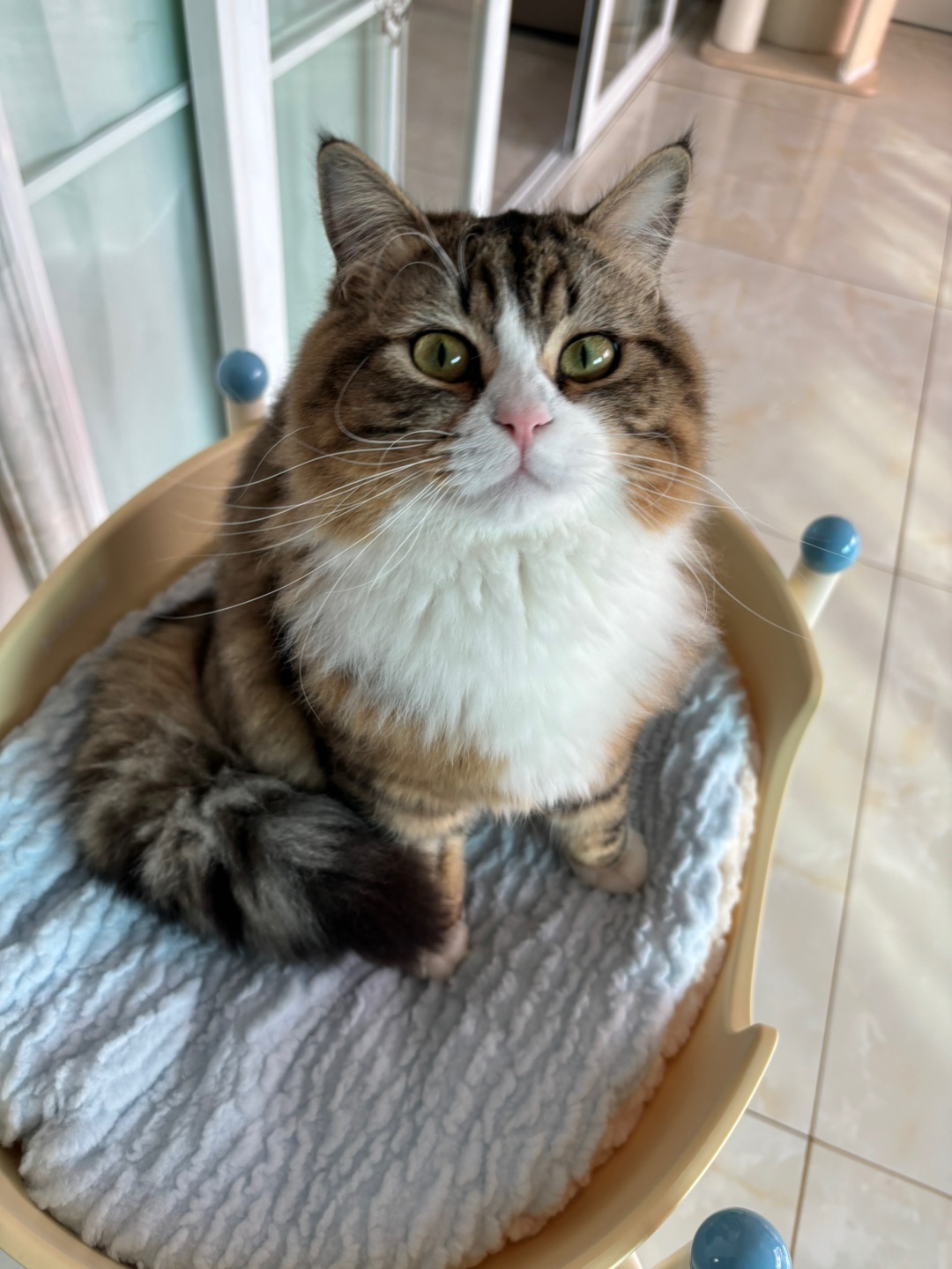 哈哈(*´・ｖ・)哈哈˙ᗜ˙哈哈(❁´ω`❁)ヽ(^0^)ノ哈哈˙ᗜ˙