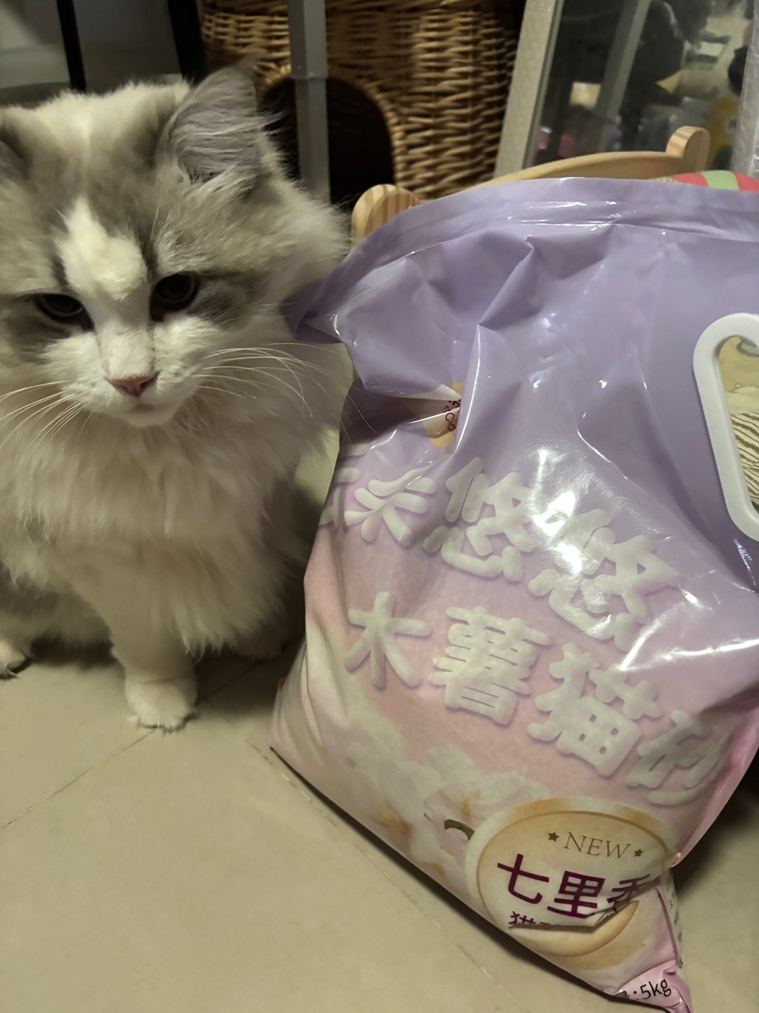 以为是什么好吃的17