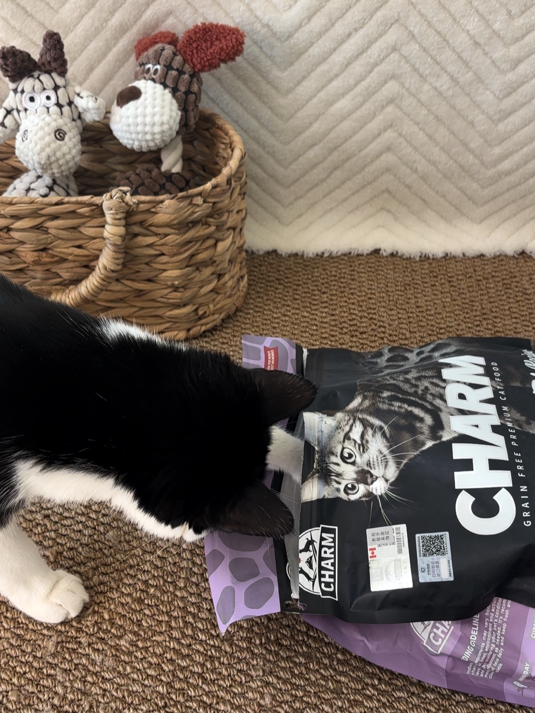 哈哈(〃'▽'〃)哈哈˙ᗜ˙哈哈(*´・ｖ・)哈哈✌︎˶╹ꇴ╹˶✌︎