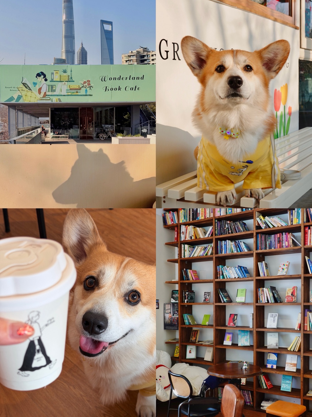 在魔都三件套下和小狗一起双倍快乐🎉