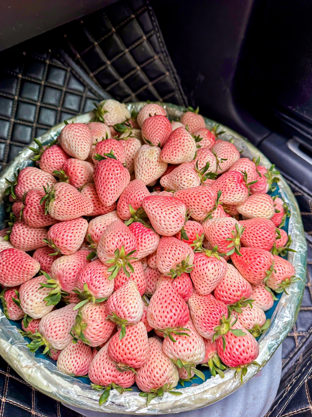 🍓草莓中的爱马仕，自由了 巧克力草莓的价吃