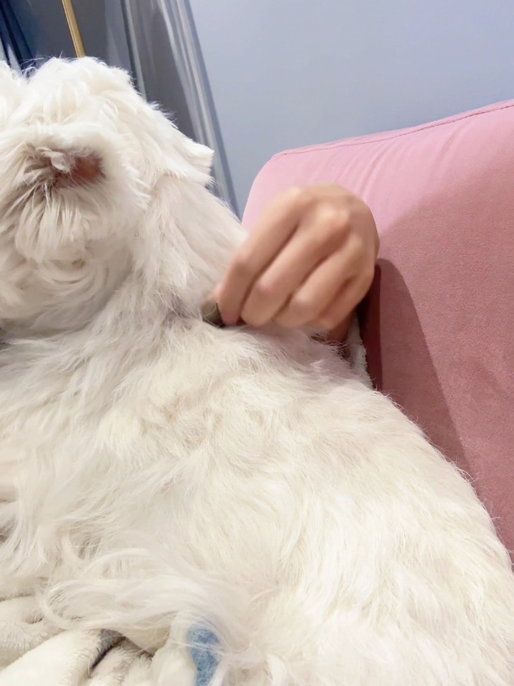 可惜你不看逐玉😌