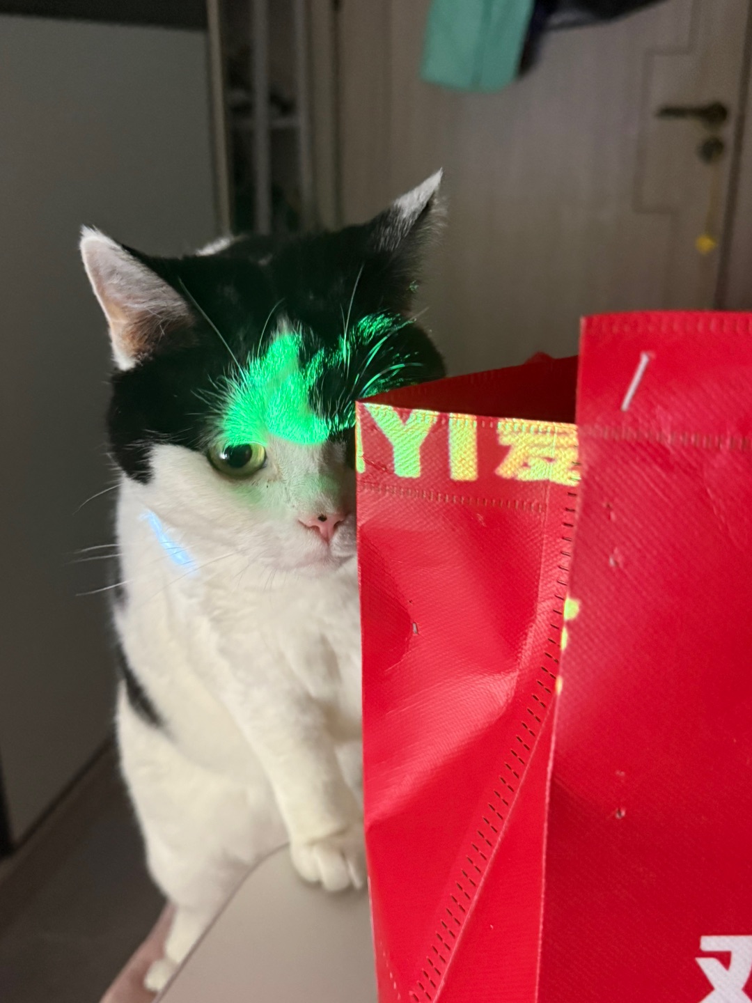 看看你在吃啥呢