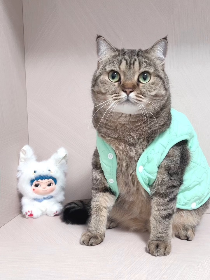 吃一口不，来了没有了呀今天没课我要休息明天才来呢啊好烦呀不敢