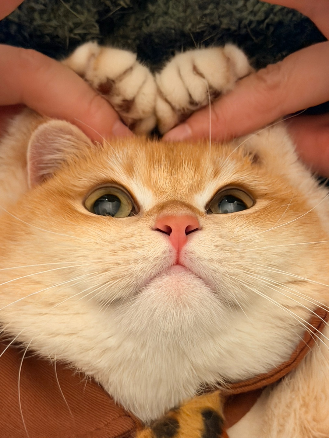 和麻麻一起比个心🫶