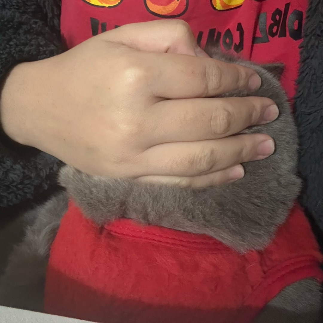 😴我的专属暖手宝！