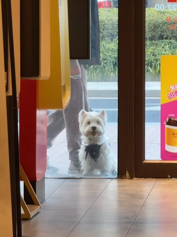 小斗我真的不能进去吗🥹