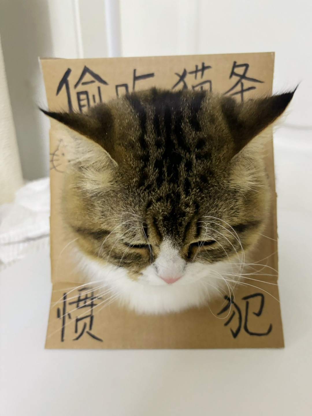 哈哈_(:D)∠)_哈哈哈哈(*´・ｖ・)哈哈(*´・ｖ・)哈哈(〃'▽'〃)哈哈(〃'▽'〃)