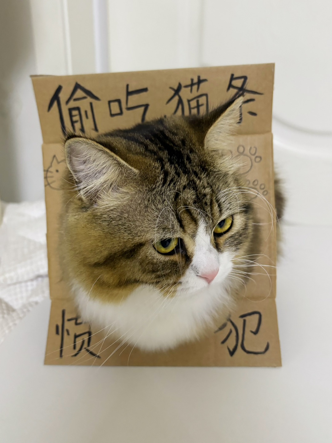 哈哈哈哈(*´・ｖ・)哈哈(*´・ｖ・)哈哈(〃'▽'〃)哈哈(〃'▽'〃)