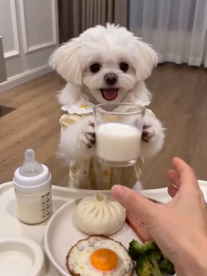 这和小宝宝有什么区别