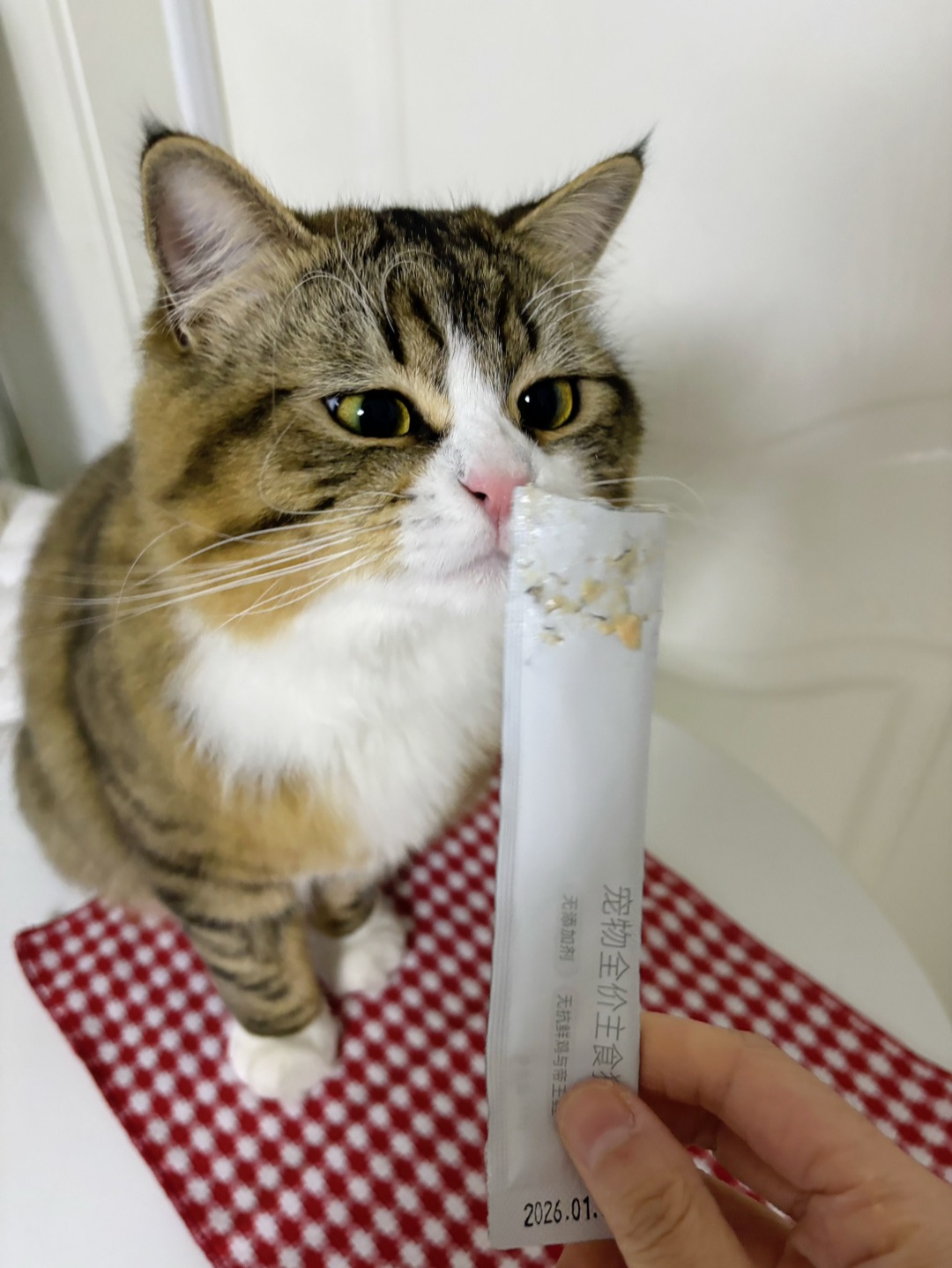 哈哈哈哈(❁´ω`❁)哈哈(◍•ᴗ•◍)哈哈(〃'▽'〃)哈哈(*´・ｖ・)