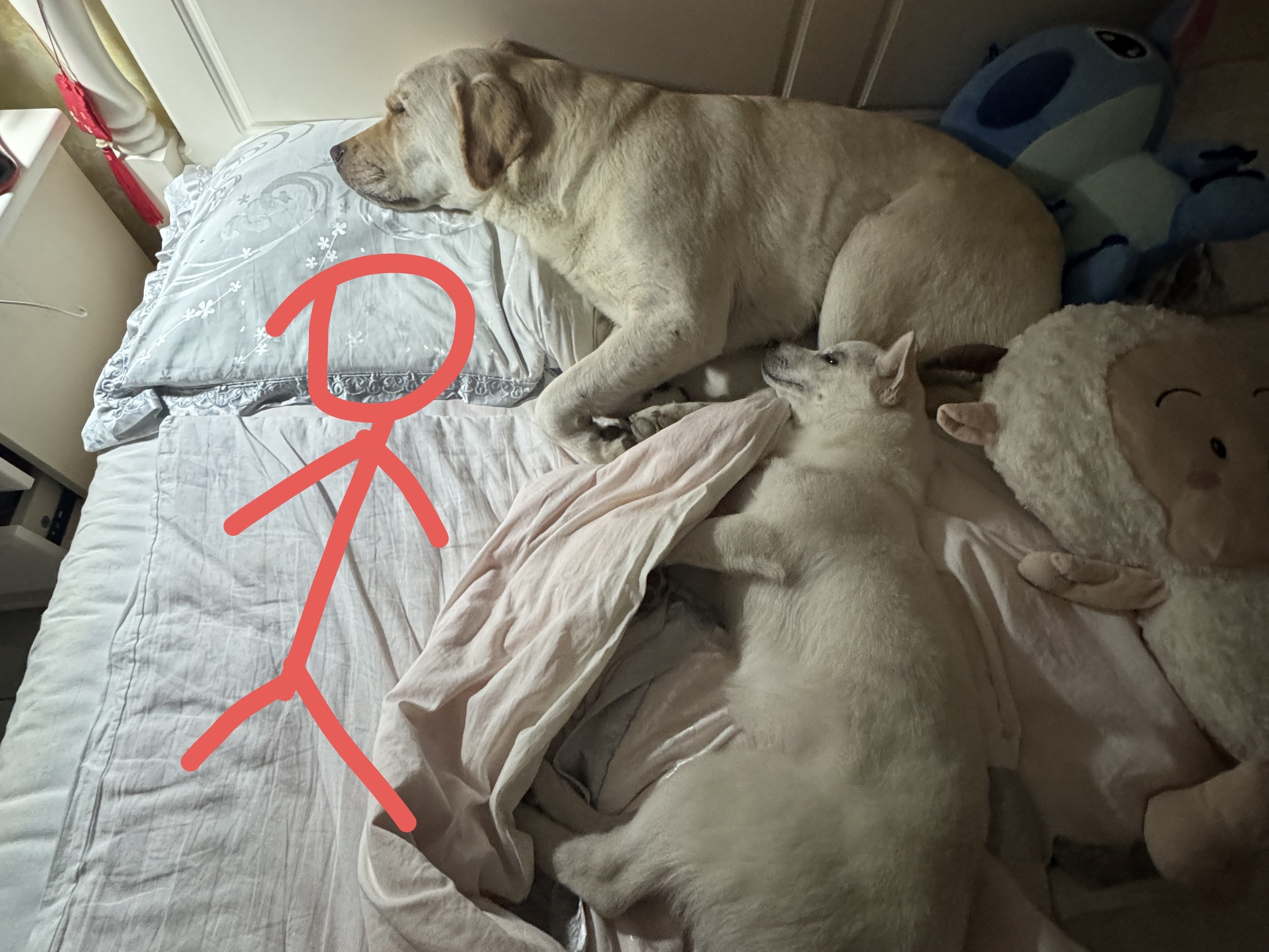 有点挤…翻身要掉下去的那种…