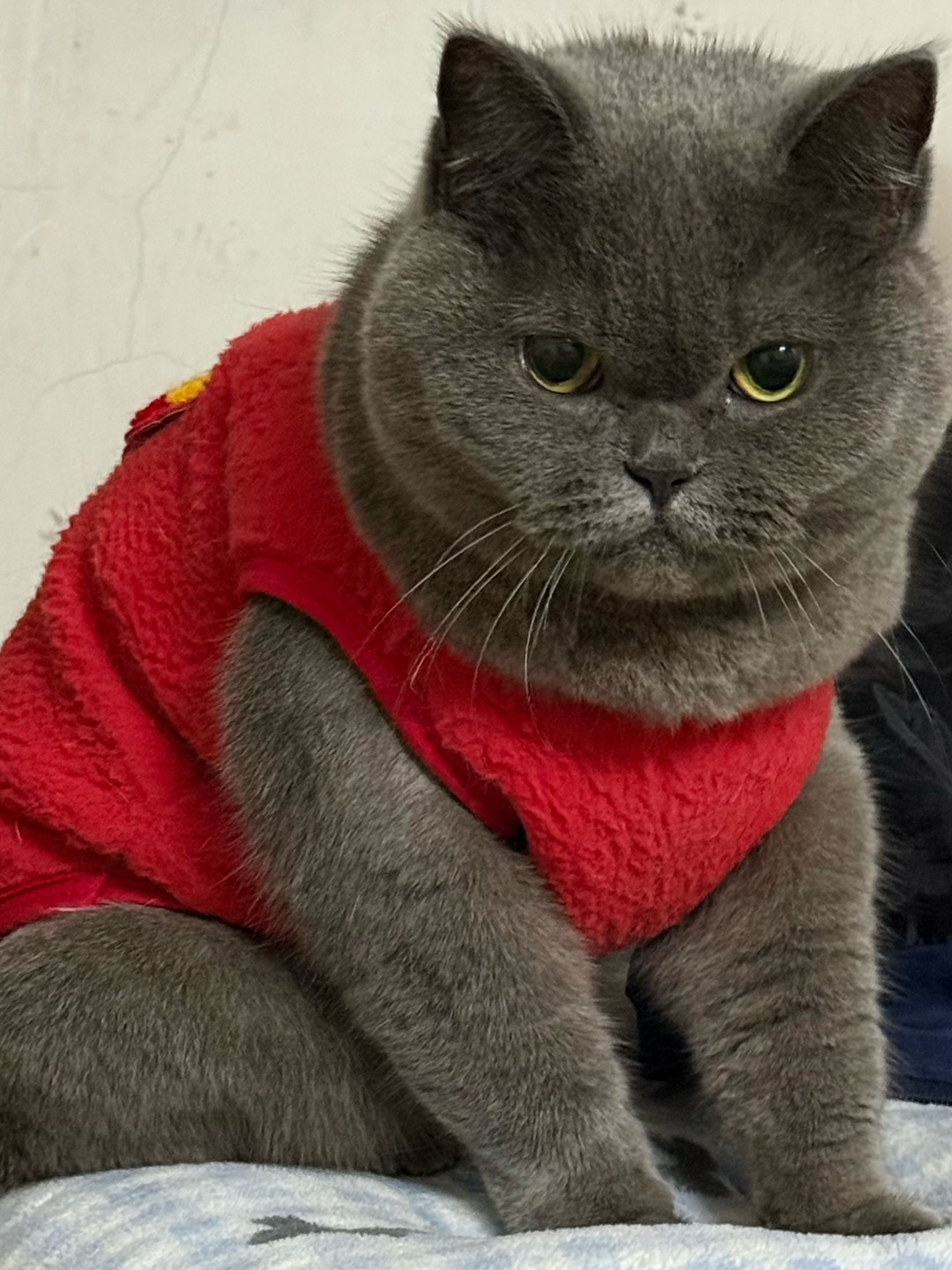 ：😆表情包时刻！