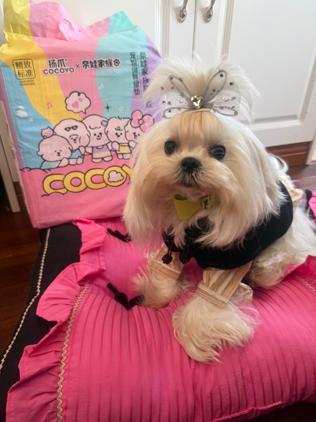 让我看看谁家宝宝没有好看的尿垫