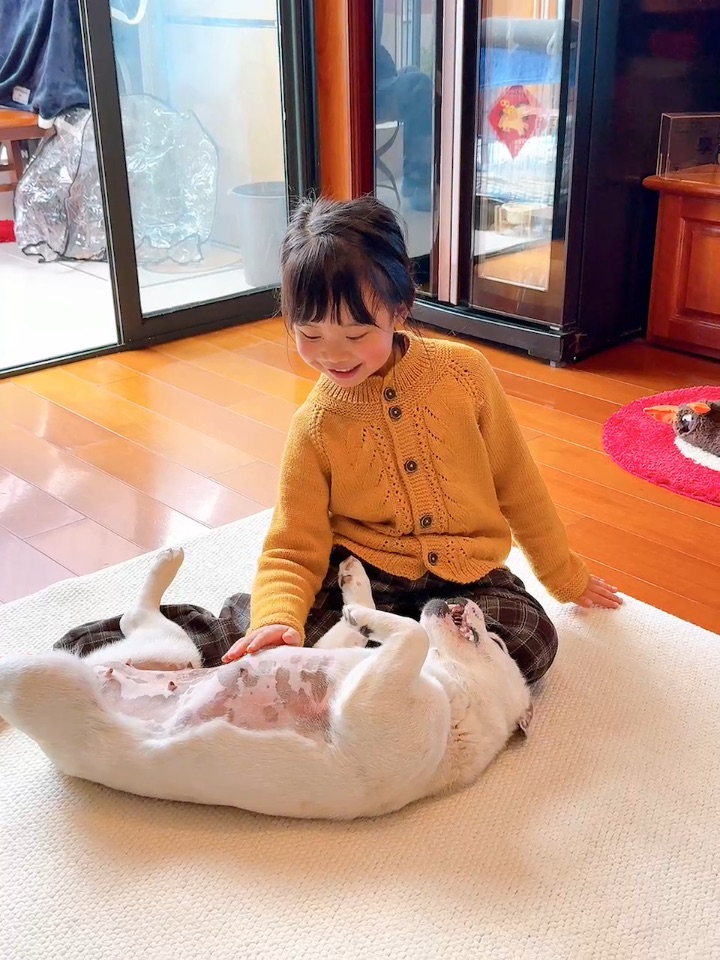 我咧个豆啊，太可爱了这两小只