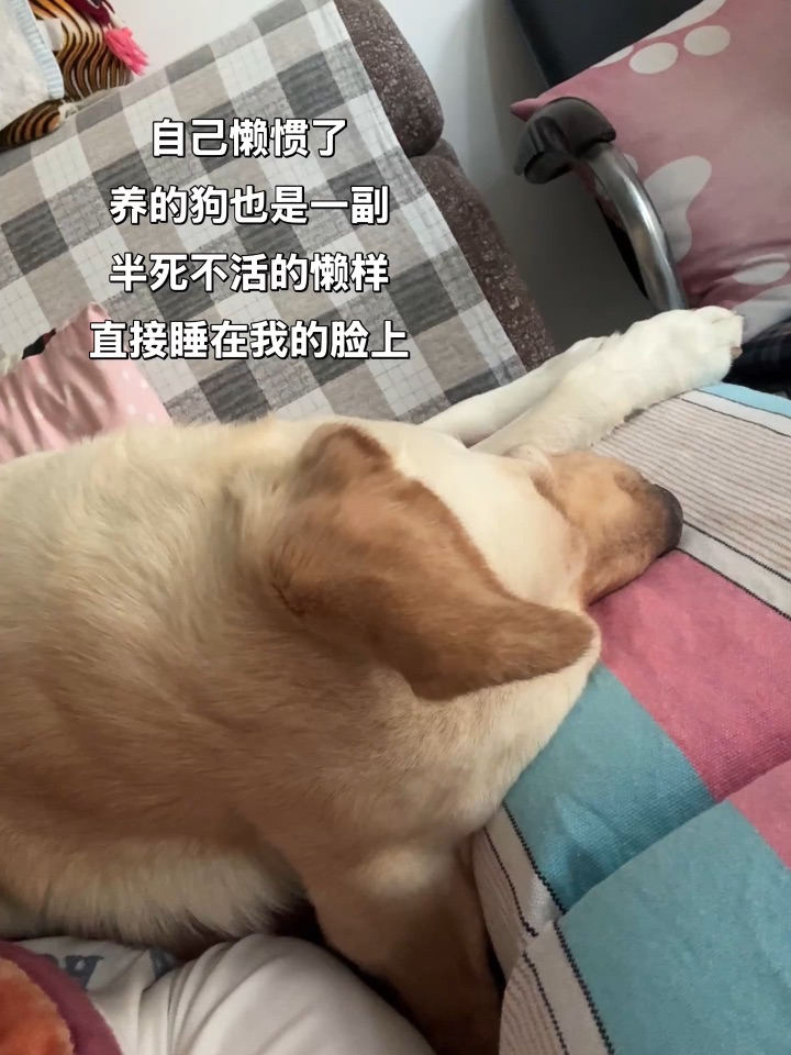 完全不管我的死活