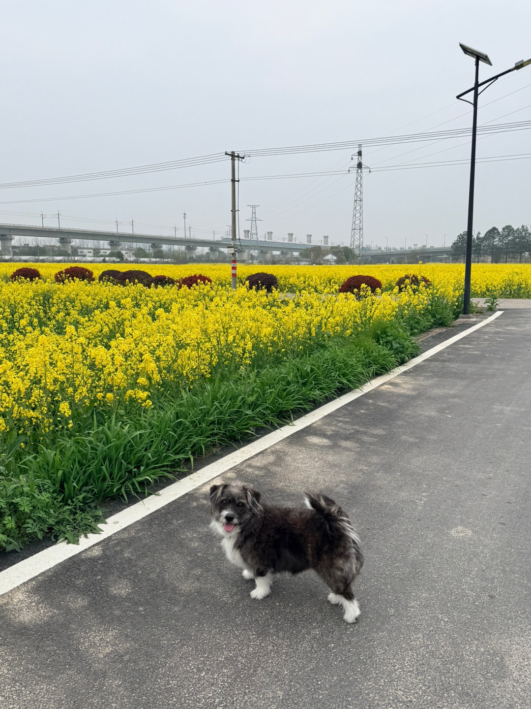 不负春日好时光