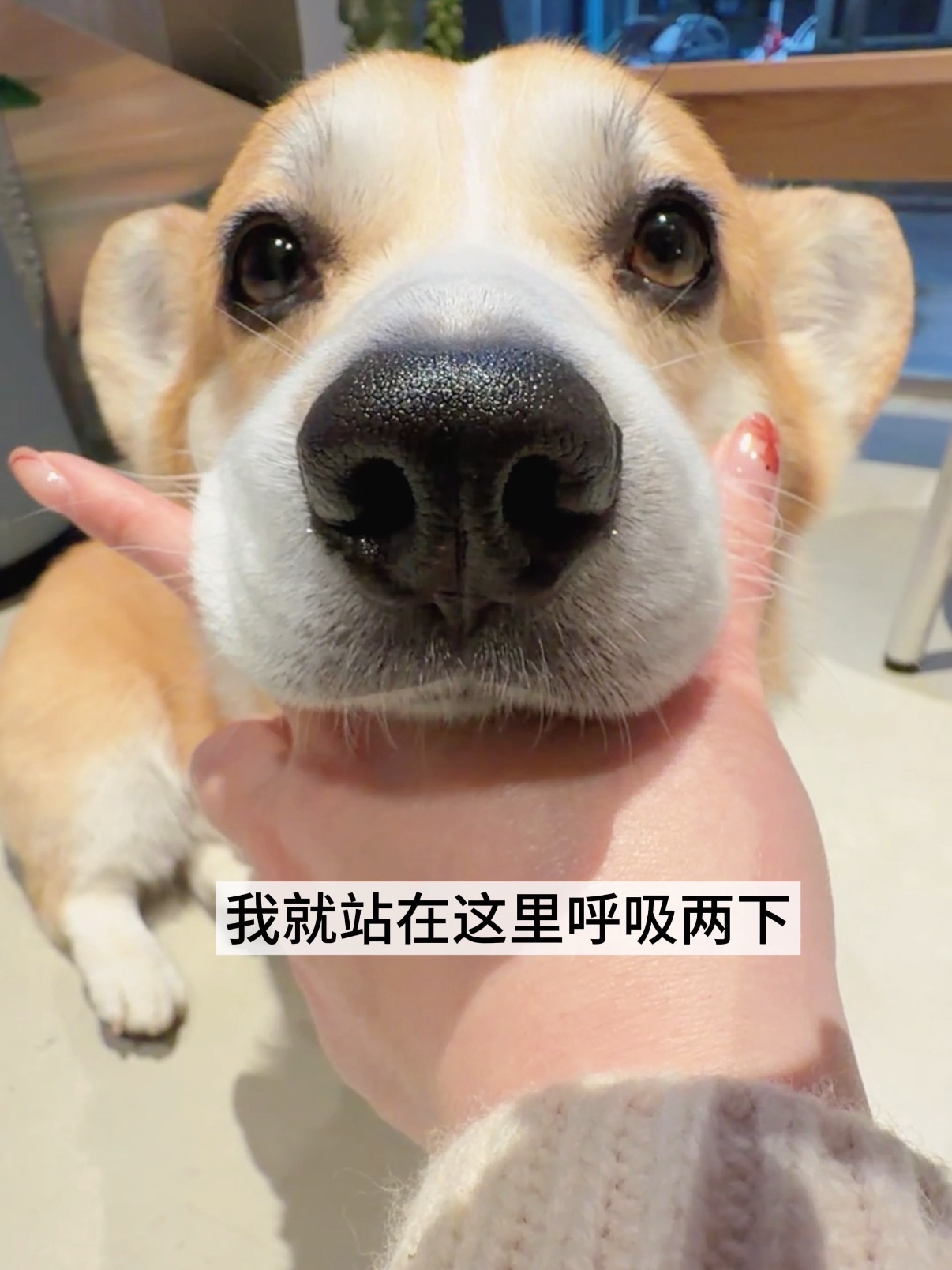 我呼吸两下你就爱上我好吗