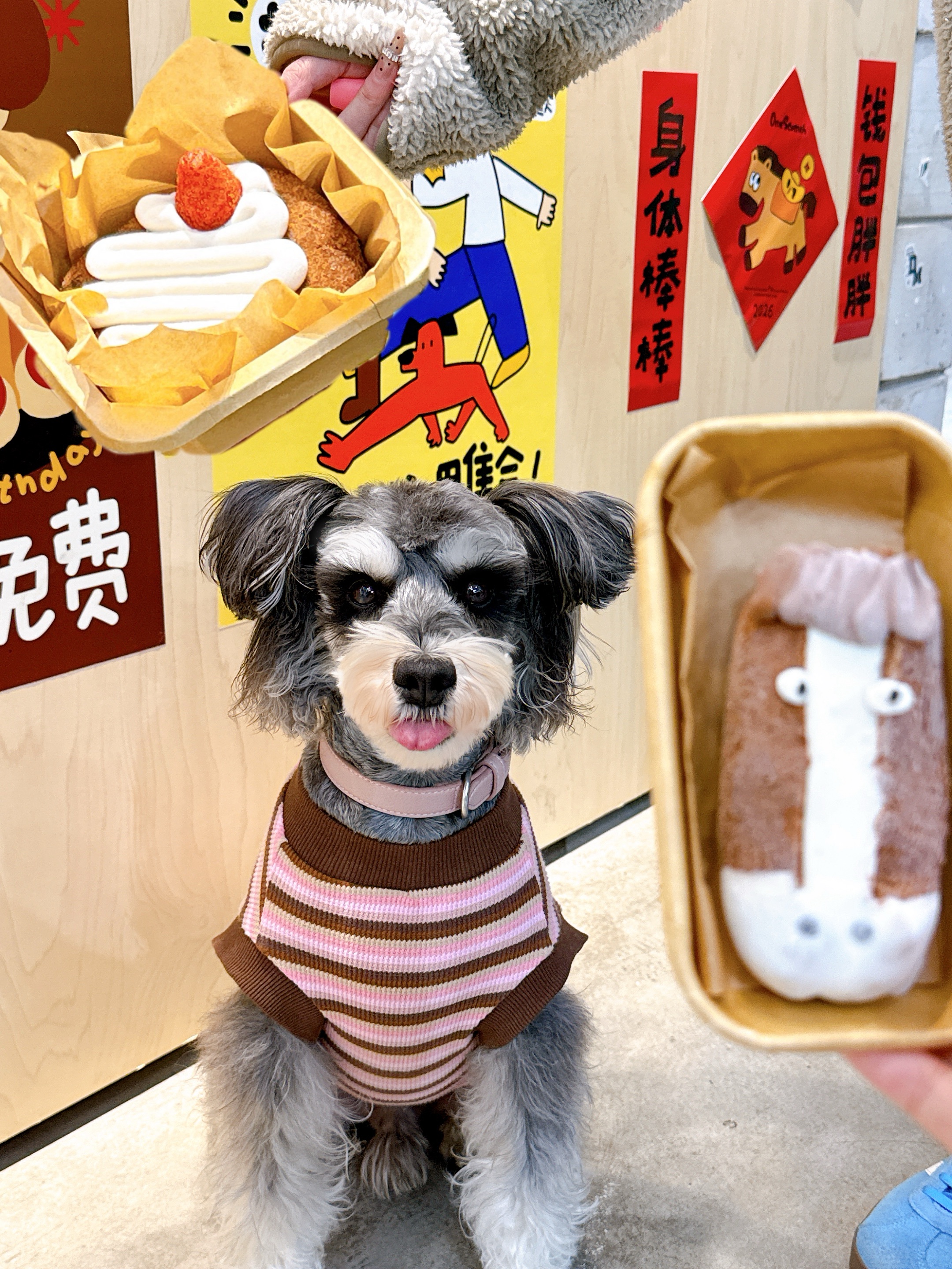 这么馋的小狗让我养到了