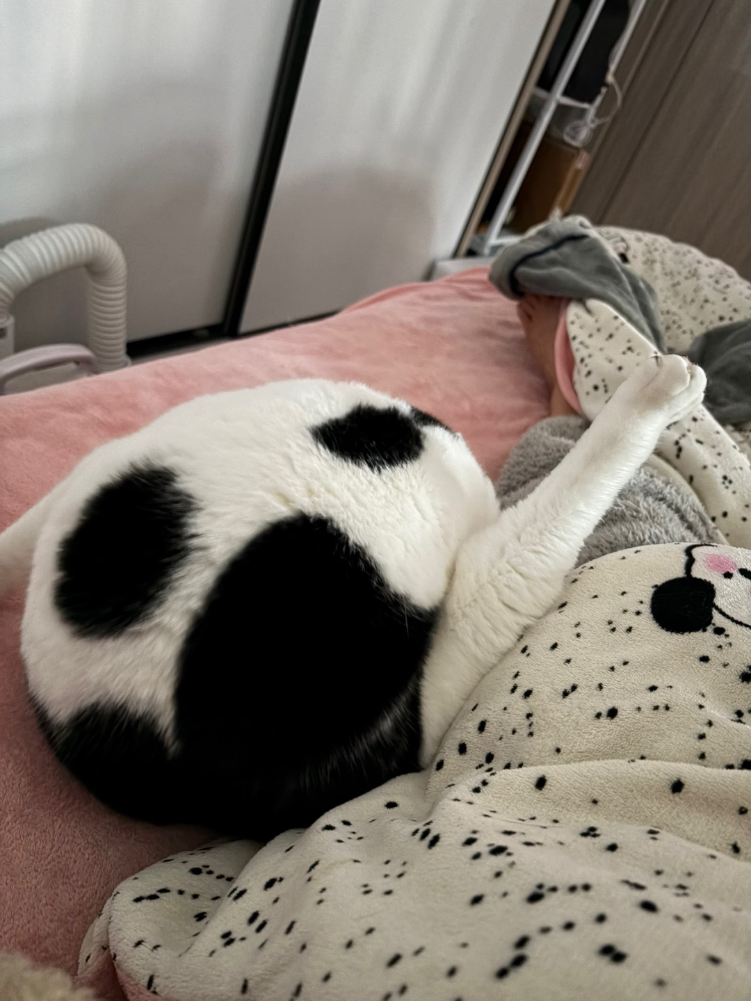 醒来一个大鸡腿在边上