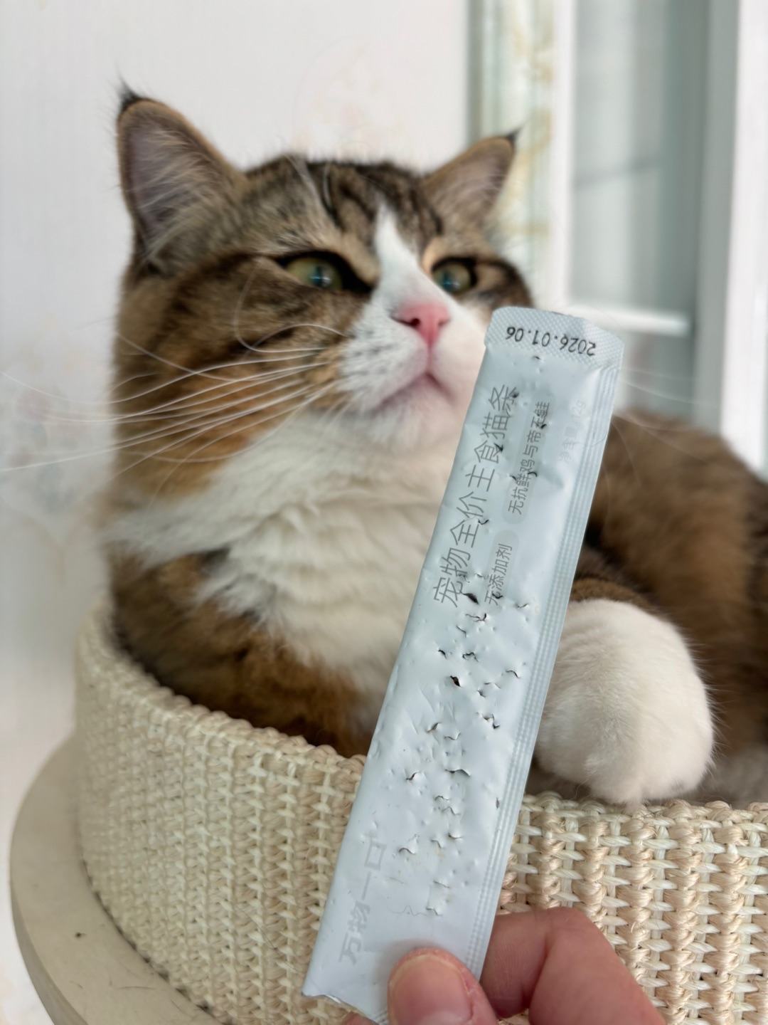 哈哈哈哈(〃'▽'〃)哈哈  ᖰ⌯'▾'⌯ᖳ哈哈  ᖰ⌯'▾'⌯ᖳ哈哈(◍•ᴗ•◍)